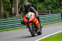 cadwell-no-limits-trackday;cadwell-park;cadwell-park-photographs;cadwell-trackday-photographs;enduro-digital-images;event-digital-images;eventdigitalimages;no-limits-trackdays;peter-wileman-photography;racing-digital-images;trackday-digital-images;trackday-photos